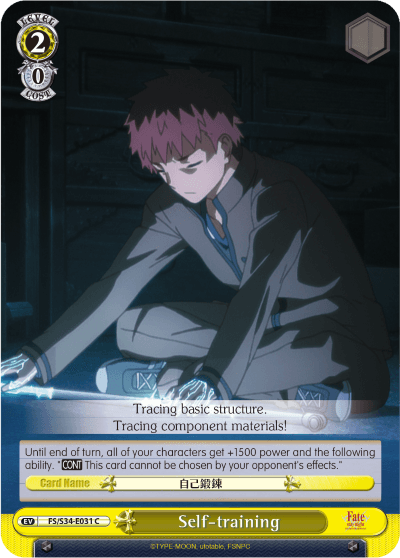 FS/S34-E031 - Self-training (C)