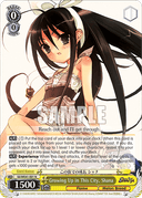 WE41 - Shakugan no Shana