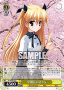 WE40 - D.C. Da Capo 20th Anniversary