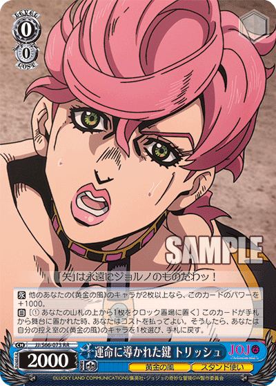 JJ/S66-073 - 運命に導かれた鍵 トリッシュ
ウンメイニミチビカレタカギトリッシュ (RR)