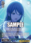 SE49 - Hatsune Miku: COLORFUL STAGE! Collection Pack