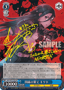 SE23 - Sword Art Online II