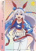 W134 - Uma Musume Pretty Derby