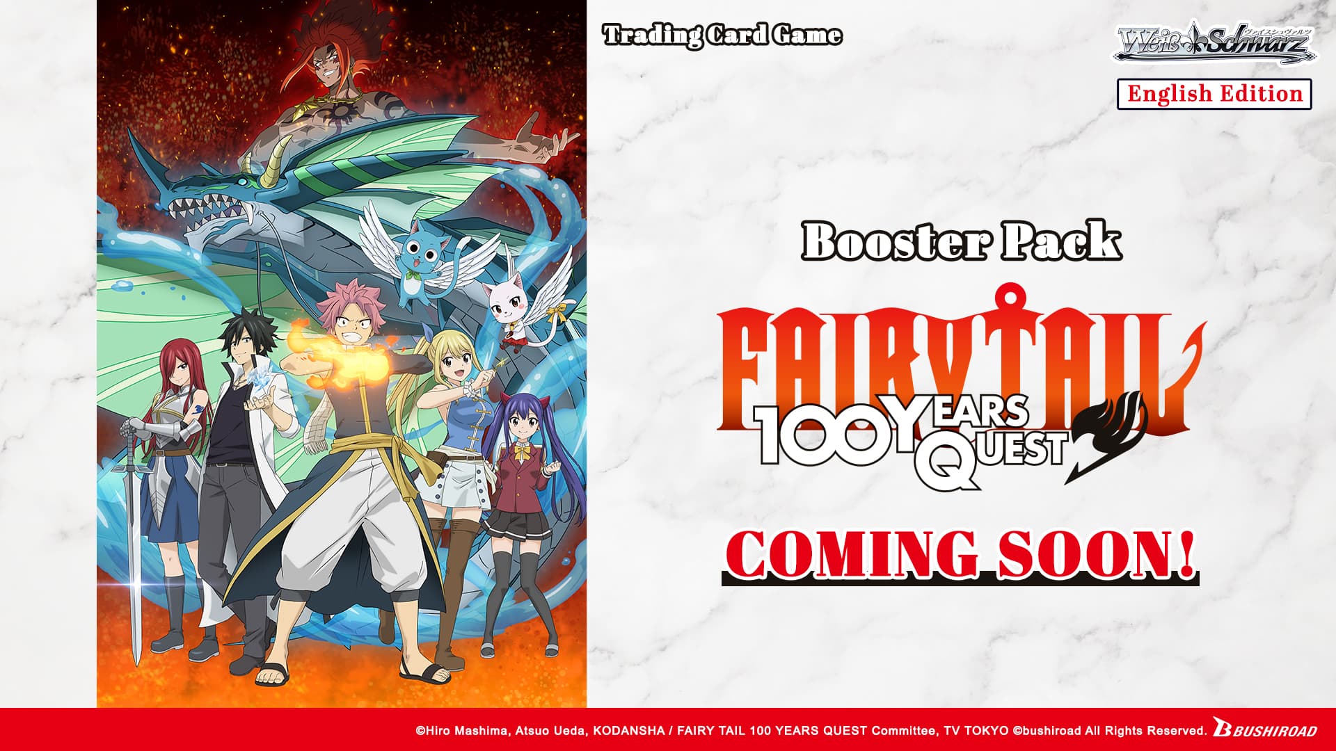 FAIRY TAIL 100 YEARS QUEST image 2