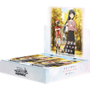 Rascal Does Not Dream of Santa Claus