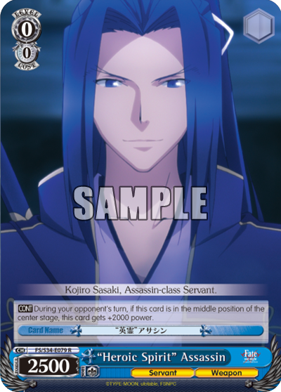"Heroic Spirit" Assassin